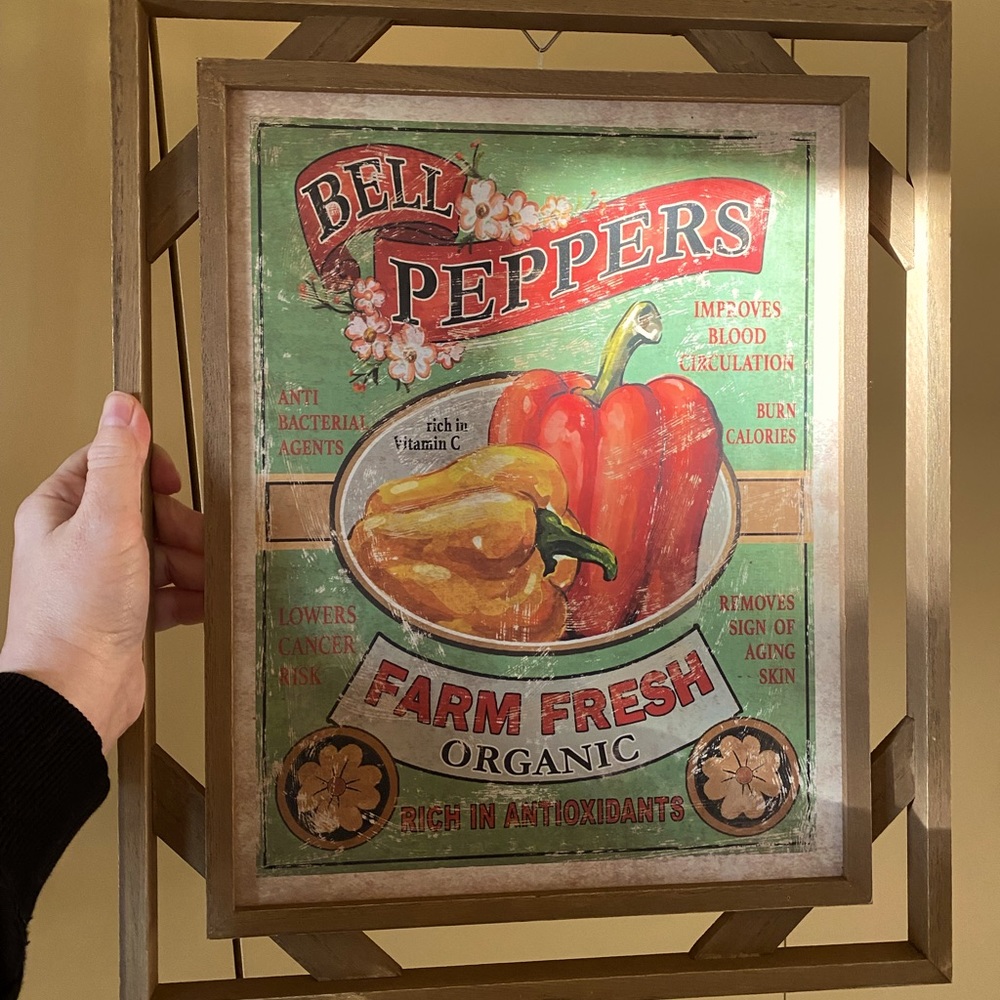 Kitchen decor - Red Pepper hanging piece.